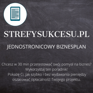 JEDNOSTRONICOWY BIZNESPLAN (ebook)